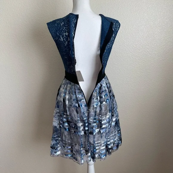 Sachin & Babi Noir tulle dress floral striped lace ballet zipper fit & flare - Picture 5 of 9